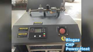 130 kW Biogas-KWK-System für saubere Energie