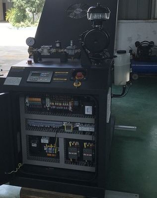 Ein guter Preis. Wassergekühlter Mikro-LPG Cogeneration Maschine LPG CHP Cogenerator 12KW 15KW Online