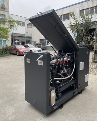 Ein guter Preis. Hohe Leistungsfähigkeit CER genehmigte Mikrobiogas CHP Mini Cogenerator Set Unit System 16kw 20kva Online