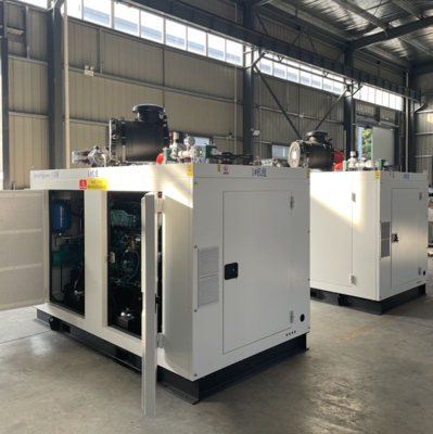 Ein guter Preis. 200KW 250KVA 50Hz Erdgas BHKW Hoher Gesamtwirkungsgrad mit automatischer Steuerung Online