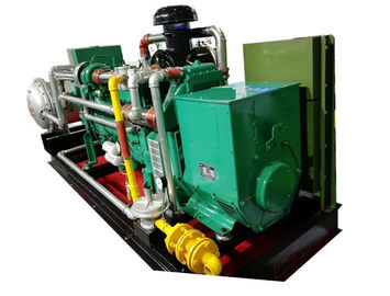 Ein guter Preis. CHP Biogas 300KVA 250KW 60Hz, Fernüberwachung CHP-Cogenerations-Systeme Online