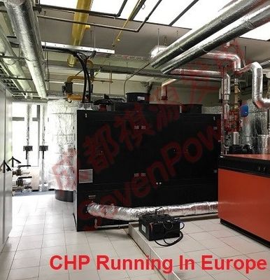 Ein guter Preis. Ununterbrochener Erdgas-Generator 50Hz 100KW Online